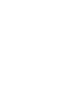 TikTok icon white